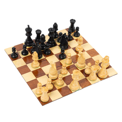 Jeu Le Tanneur